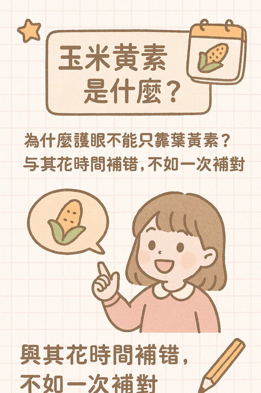 玉米黃素與葉黃素比較,說明吸收率與黃斑部分布差異